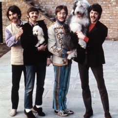 Please note that Ringo is standing on his tip-toes for this photo.